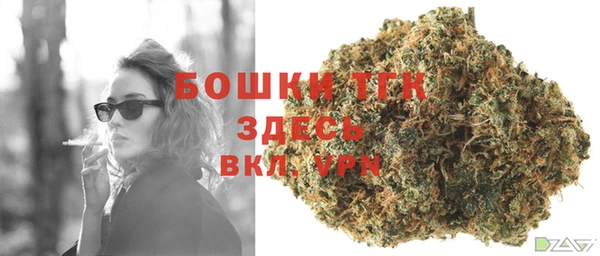 бошки Нея