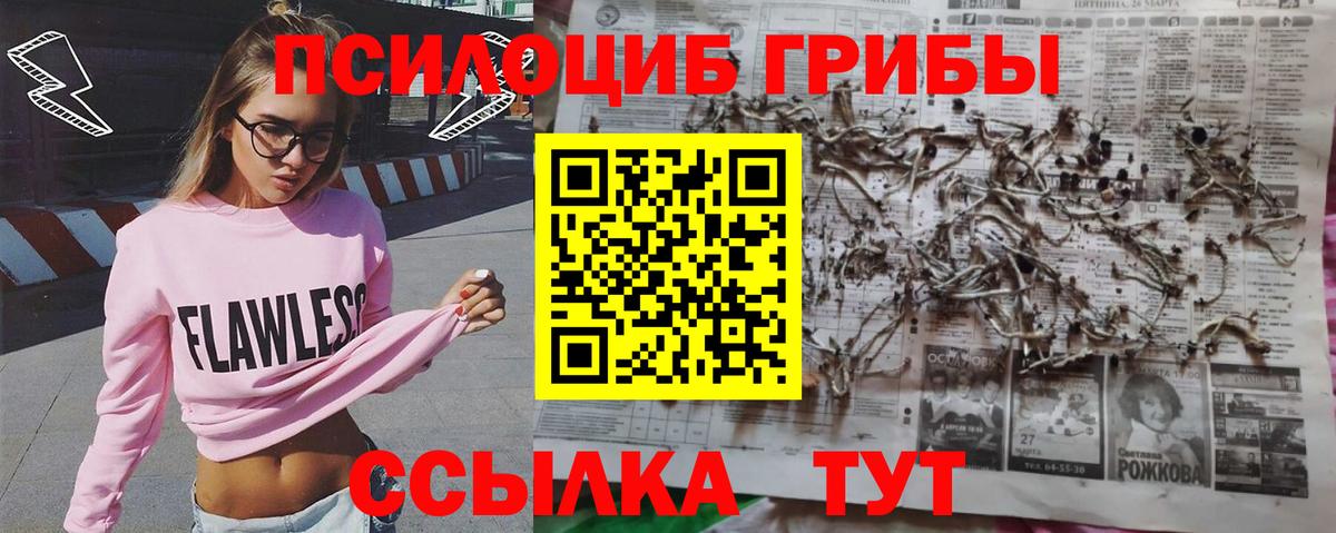 Псилоцибиновые грибы мицелий  Вход с VPN  Таганрог 