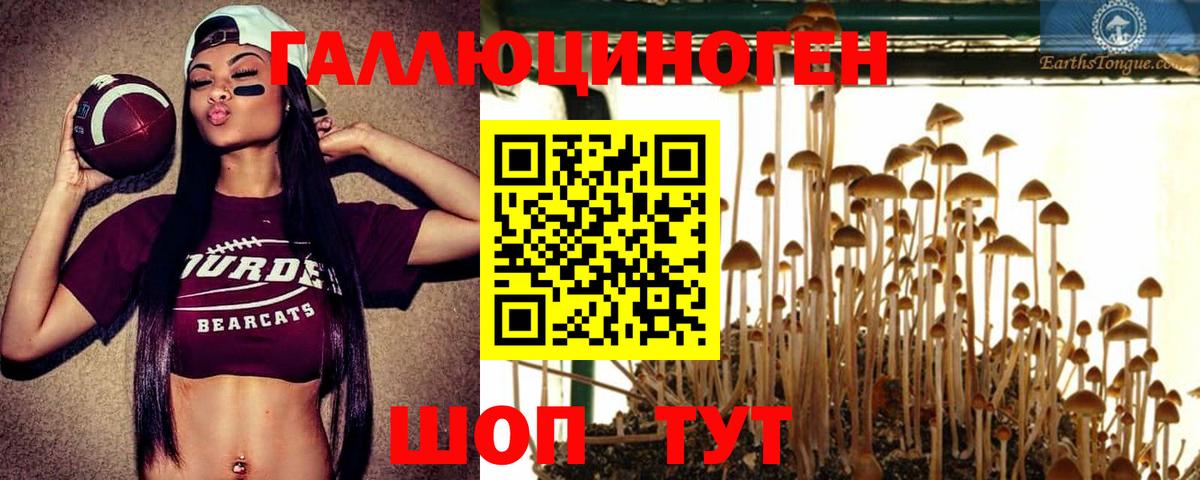 Галлюциногенные грибы Magic Shrooms Таганрог
